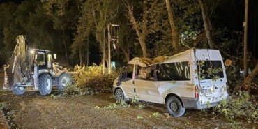 Samsun Alaçam'da rüzgarda devrilen ağaç park halindeki minibüste hasar oluşturdu