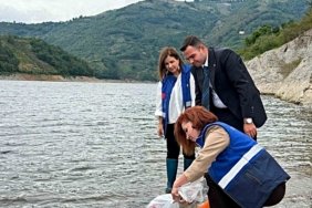 Samsun Ayvacık'ta Hasan Uğurlu Baraj Gölü'ne 250 bin yavru sazan bırakıldı