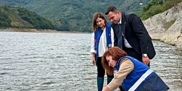 Samsun Ayvacık'ta Hasan Uğurlu Baraj Gölü'ne 250 bin yavru sazan bırakıldı