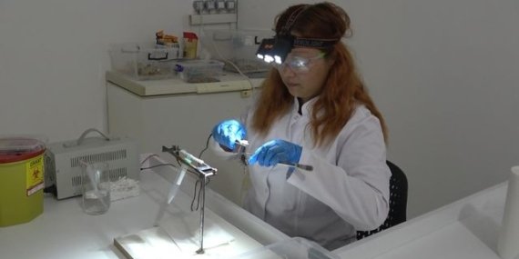 Samsun Bafra'da kurulan merkezde akrep zehri, ilaç ve savunma sanayisi için AR-GE'de kullanılacak