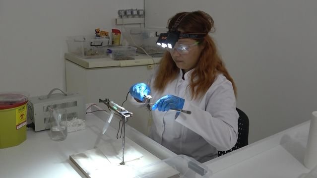 Samsun Bafra'da kurulan merkezde akrep zehri, ilaç ve savunma sanayisi için AR-GE'de kullanılacak