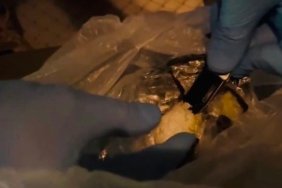 Samsun Havza'da tırda narkotik köpeği Pera'nın tepkisiyle 456 gram metamfetamin ele geçirildi