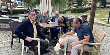 Samsun Kavak'ta simge haline gelen kuzu Tertip, Mecit Uzun'u yalnız bırakmıyor