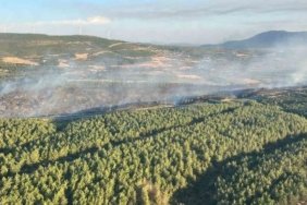 Samsun değil Manisa'nın Soma'sında orman yangını kontrol altına alındı