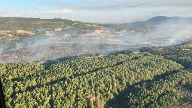 Samsun değil Manisa'nın Soma'sında orman yangını kontrol altına alındı