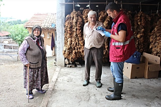 Samsun'da 65 bin büyükbaş için sonbahar şap aşılaması başlatıldı