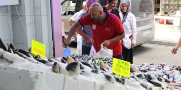 Samsun'da av yasağının sona ermesiyle tezgahlarda palamut bolluğu: 400 gramlık palamut 150 liradan satışta