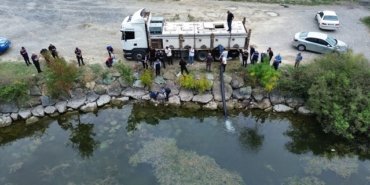 Samsun'da iç sulara bu yıl sonuna kadar 2 milyon 412 bin 500 sazan yavrusu bırakılacak