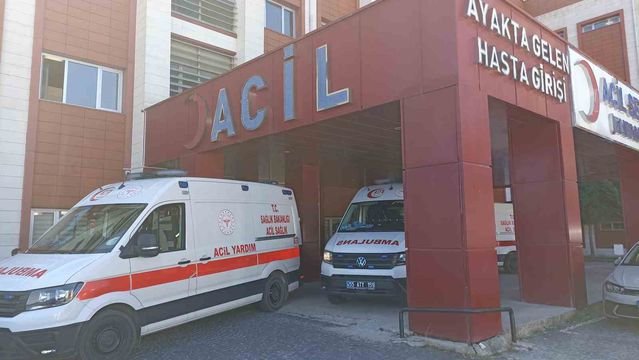 Samsun'da otomobil şarampole devrildi, Asiye Kaya hayatını kaybetti, 3 kişi yaralandı