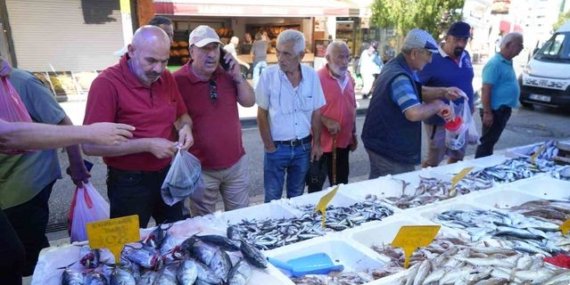 Samsun'da palamut bolluğu fiyatları düşürdü, tanesi 80 TL'den satılıyor