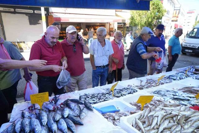 Samsun'da palamut bolluğu fiyatları düşürdü, tanesi 80 TL'den satılıyor