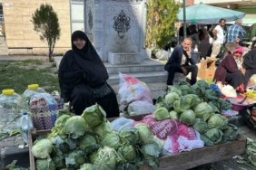 Alucra kelemi hasadı başladı, coğrafi işaret için çalışmalar sürüyor