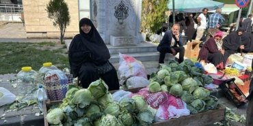 Alucra kelemi hasadı başladı, coğrafi işaret için çalışmalar sürüyor