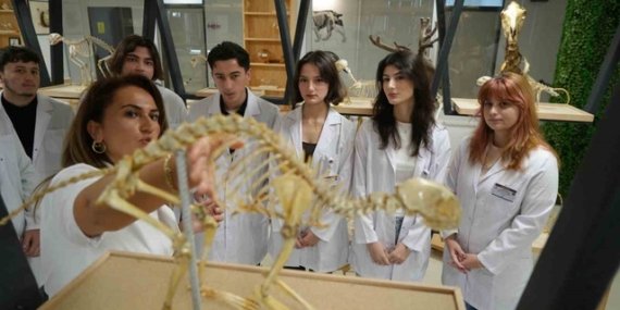 OMÜ'de 40 türden 150'ye yakın iskelet doğal ölen hayvanlardan hazırlandı