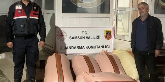 Samsun Çarşamba'da 300 kilo fındığı satarken yakalanan 2 şüpheli gözaltına alındı