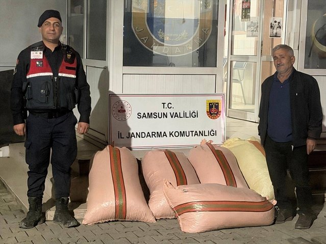 Samsun Çarşamba'da 300 kilo fındığı satarken yakalanan 2 şüpheli gözaltına alındı