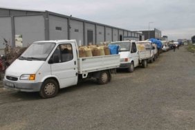 Samsun Çarşamba'da fındık üreticileri düşük fiyatla TMO'da yoğunluk oluşturuyor