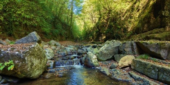 Samsun Çarşamba'daki Kabaceviz Şelalesi 60 metreden dökülerek görsel şölen sunuyor