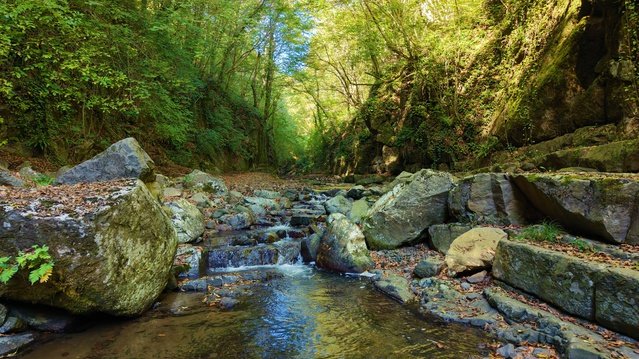Samsun Çarşamba'daki Kabaceviz Şelalesi 60 metreden dökülerek görsel şölen sunuyor