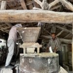 Samsun Havza'da 300 yıllık su değirmeni altıncı kuşakla dönmeye devam ediyor