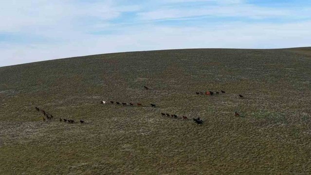Samsun Ladik'te 1500 rakımdaki göl, yılkı atlarıyla dronla görüntülendi