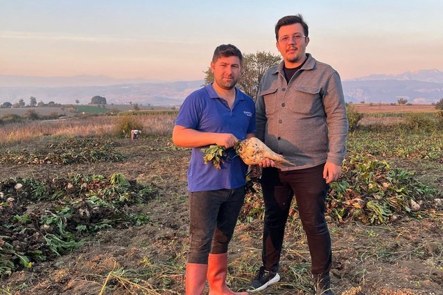 Samsun Vezirköprü'de pancar hasat sezonu açıldı, 40 bin ton ürün bekleniyor