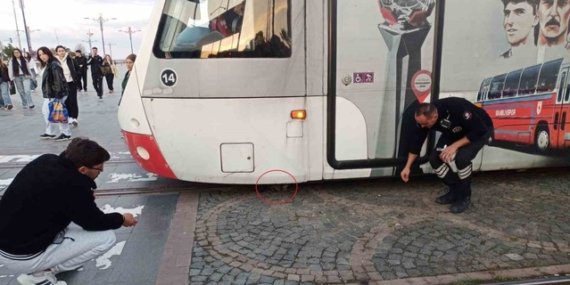 Samsun'da tramvayın altına giren yavru kedi, rayların ortasında sağ kurtarıldı