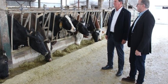 Samsun'daki sığır birliği 66 puanla 1. derece tarımsal örgüt statüsüne kavuştu