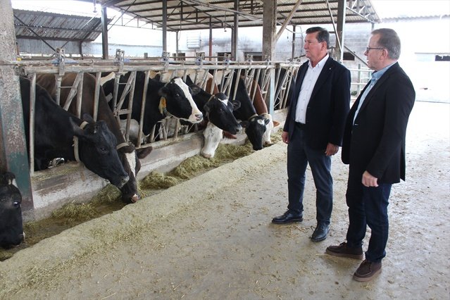 Samsun'daki sığır birliği 66 puanla 1. derece tarımsal örgüt statüsüne kavuştu