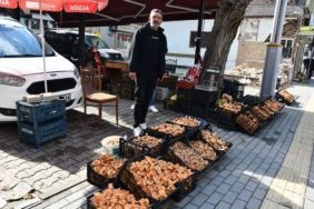 Vezirköprü'de kanlıca mantarı tezgahlarda, kilosu 200-350 liradan alıcı buluyor