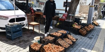 Vezirköprü'de kanlıca mantarı tezgahlarda, kilosu 200-350 liradan alıcı buluyor