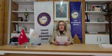 ZMO Samsun Şube Başkanı Bayzat, TMO'nun çeltik alım fiyatı açıklamamasını eleştirdi